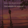 Um caminho de surpresas