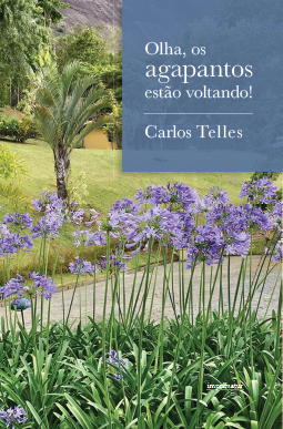 Olha, os agapantos estão voltando!