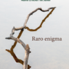 Raro enigma