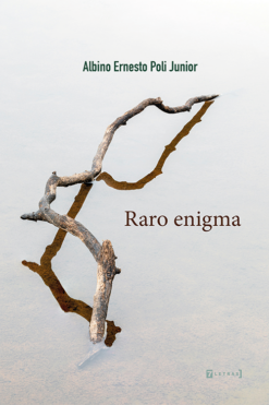 Raro enigma